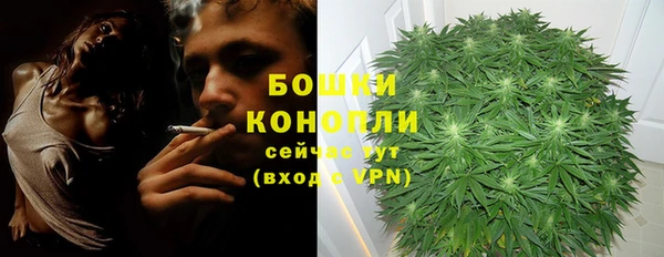 индика Богородицк