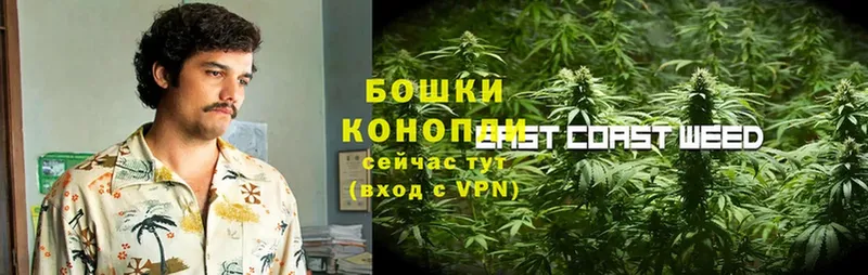 Канабис SATIVA & INDICA  МЕГА зеркало  Торжок 